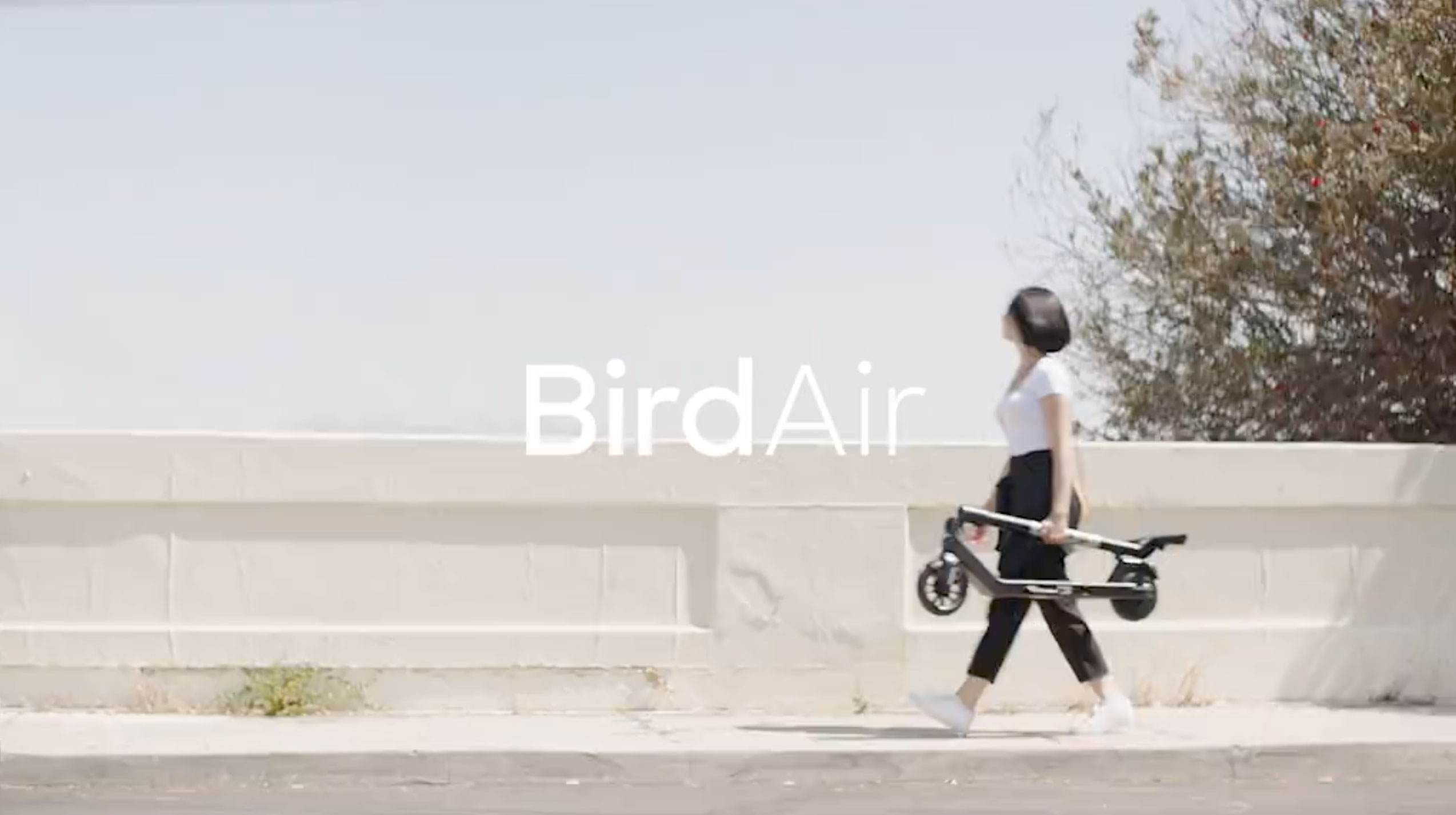 電動キックボードのパイオニア｜Bird日本公式サイト